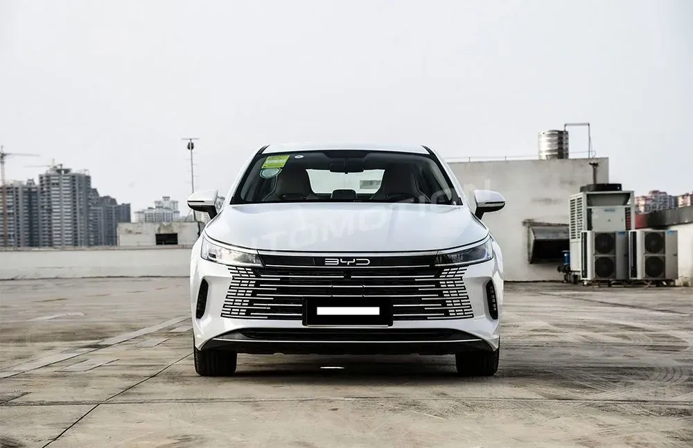 BYD Destroyer 05, listing photo 2 of 9