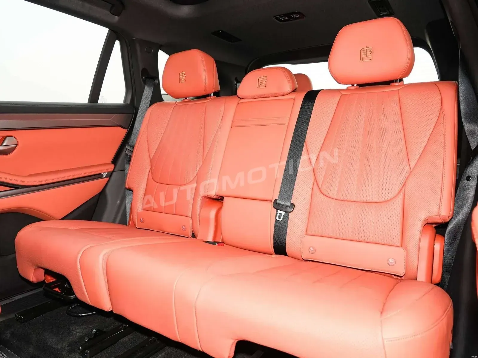 BYD Tang L DM, listing photo 19 of 20