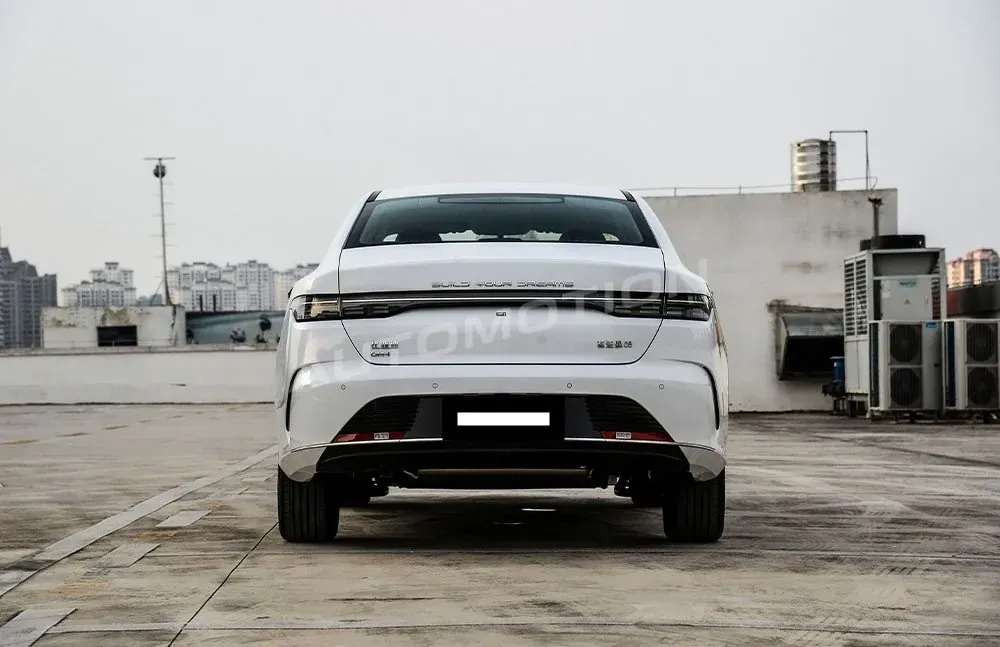 BYD Destroyer 05, listing photo 5 of 9