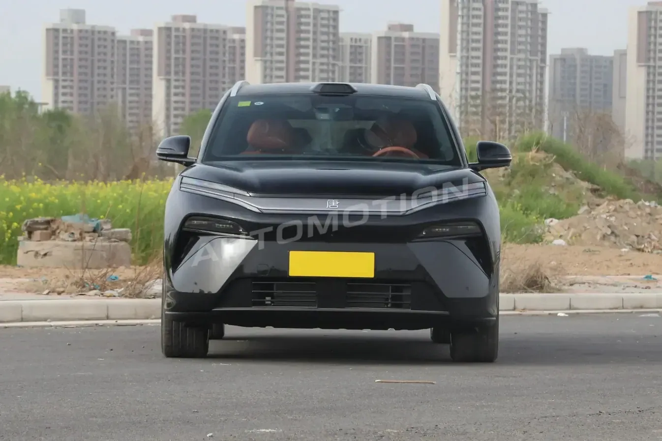 BYD Tang L, listing photo 2 of 8