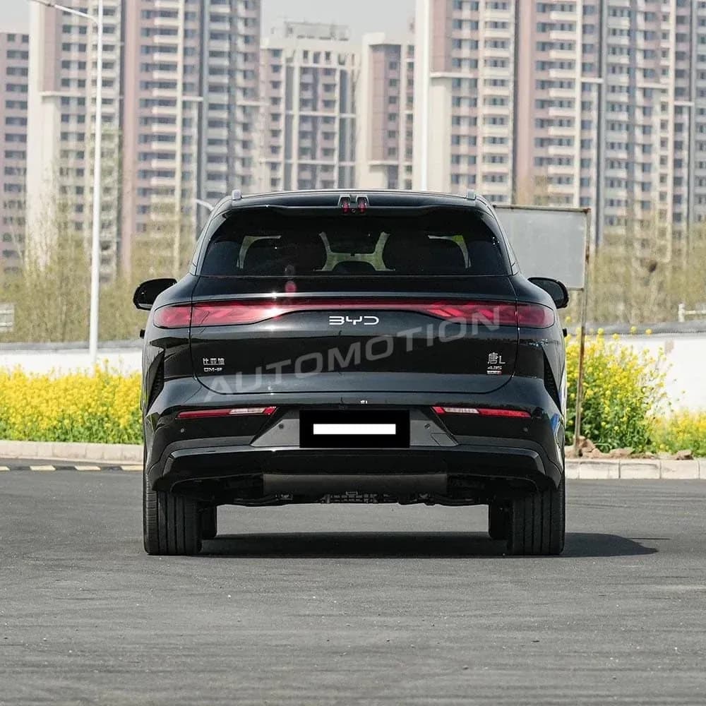 BYD Tang L DM, listing photo 5 of 20