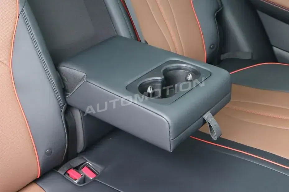 BYD Sealion 06 DM, listing photo 13 of 14