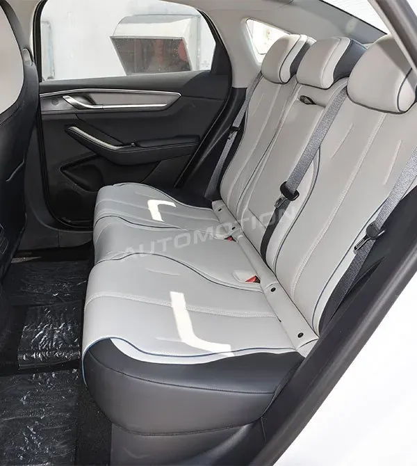 BYD Destroyer 05, listing photo 8 of 9