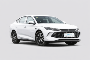 2025 BYD Qin L DM