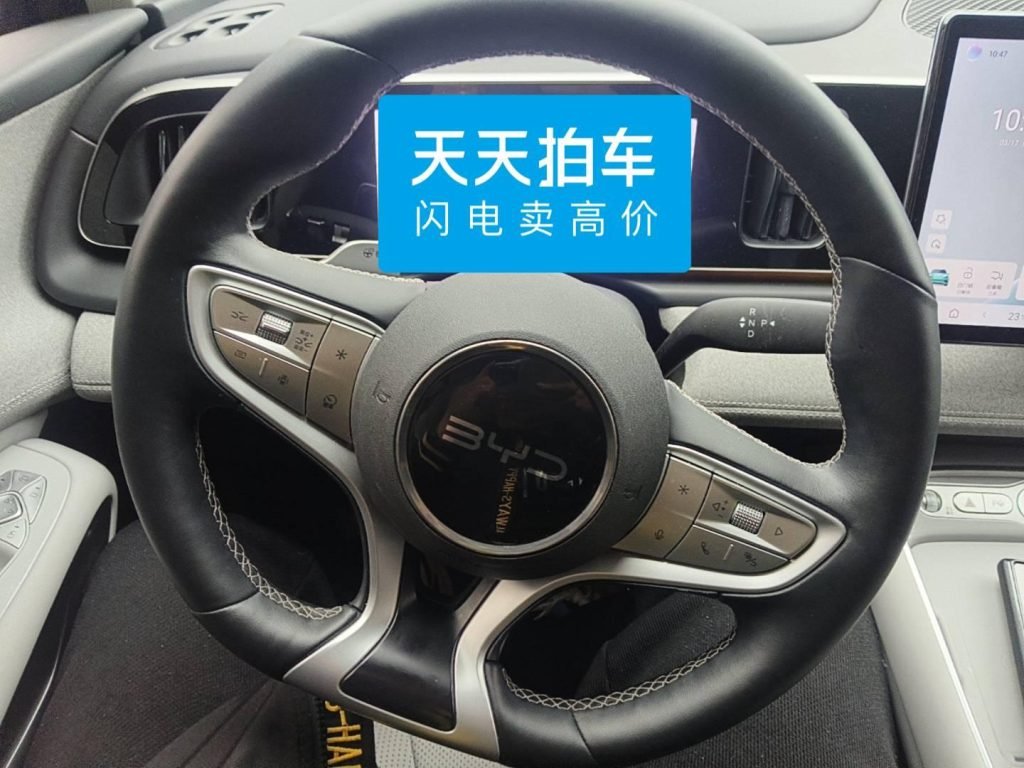 2025 BYD Sealion 05 - Image 19