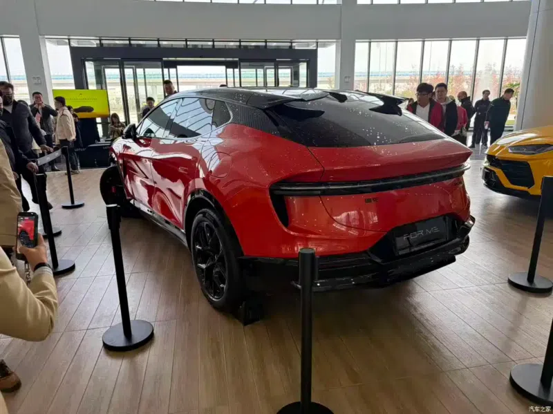 Lotus For Me - Image 6