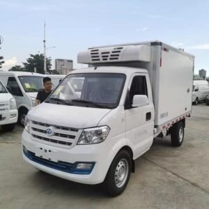 Ruichi Refrigerator EC31